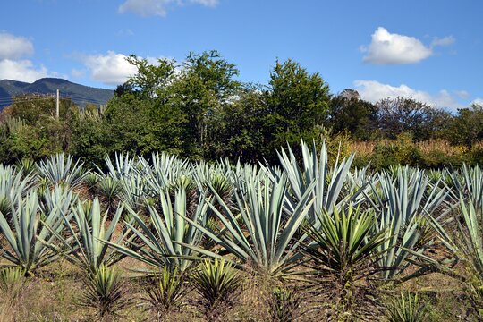 Tour image 5